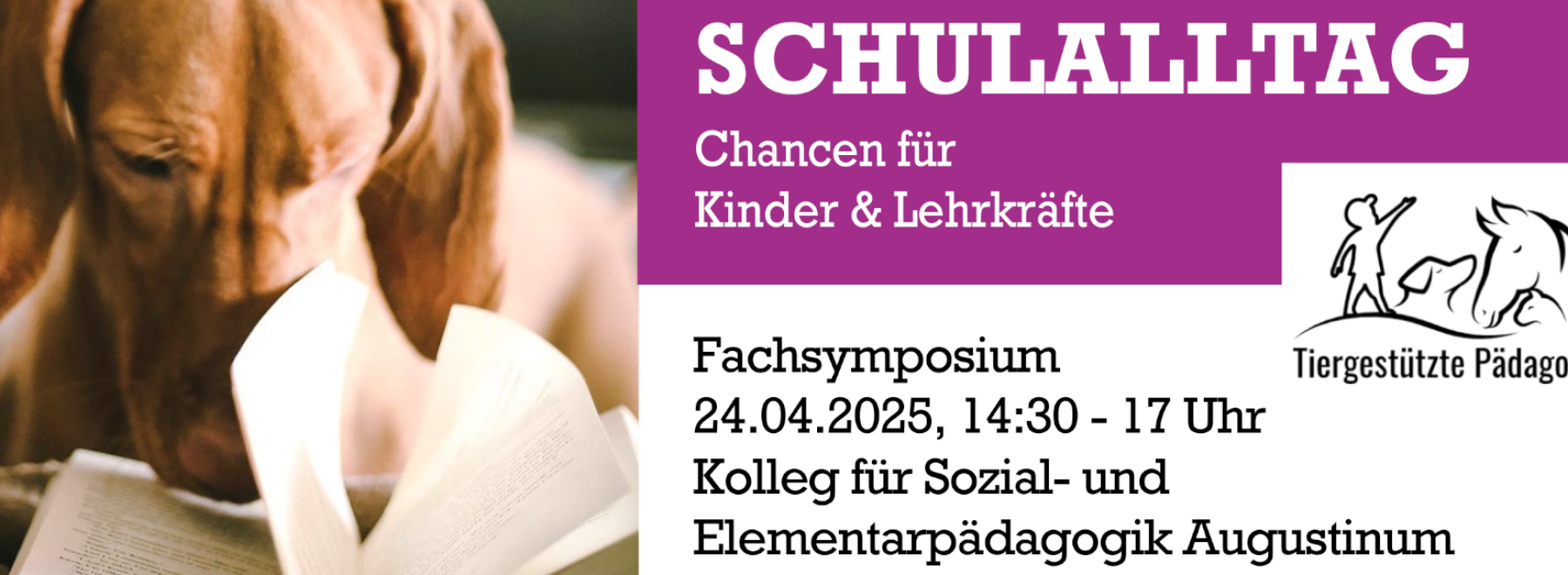 Hund mit Buch Flyer mit Text Fachtagung tiergestützte Pädagogik