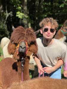 Studierender mit Lama oder Alpaka