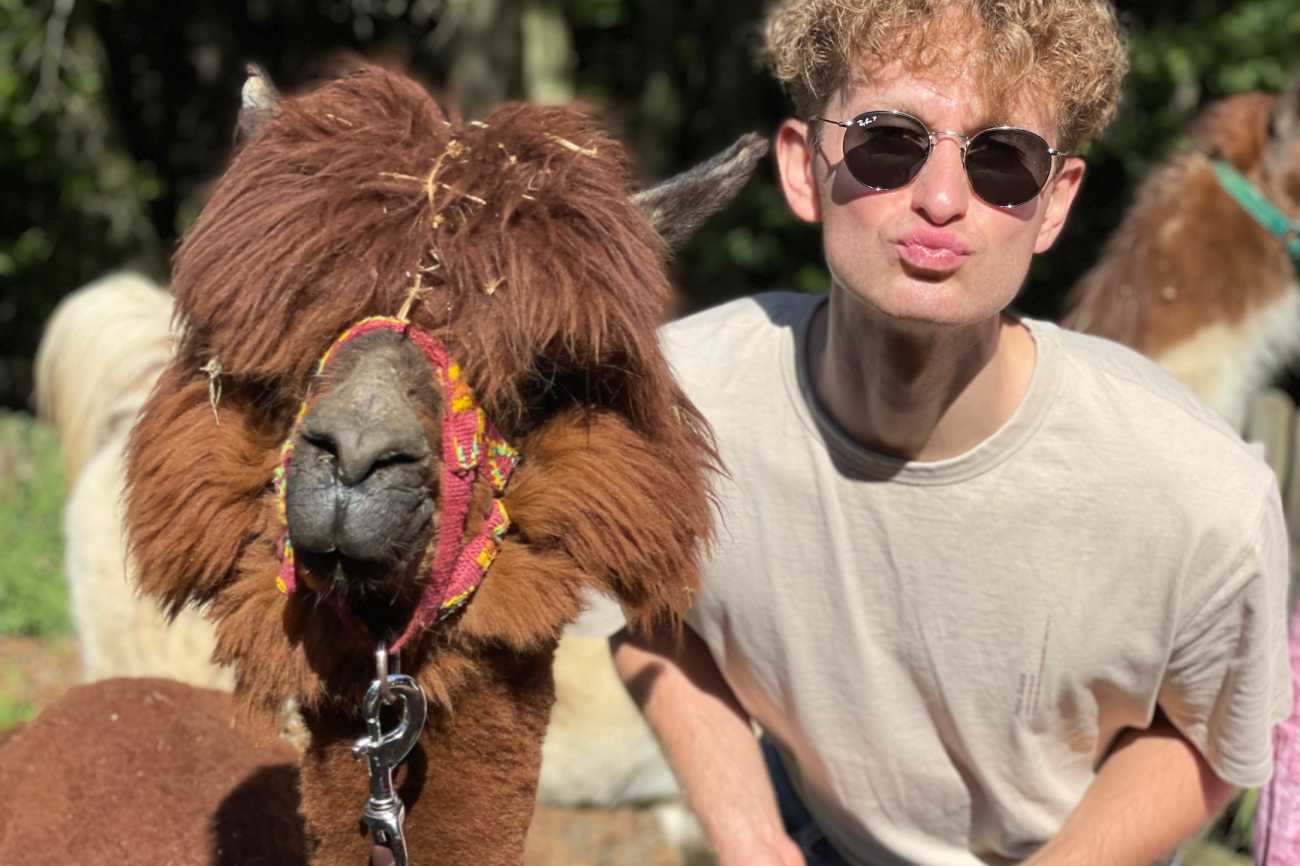 Studierender mit Lama oder Alpaka