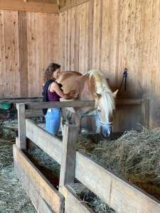 Studierende mit Pferd