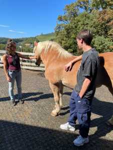 Studierende mit Pferd