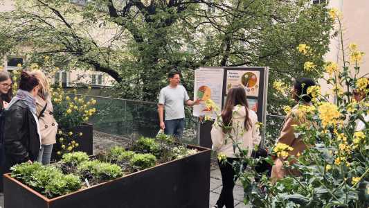 Hochbeet mit Menschen