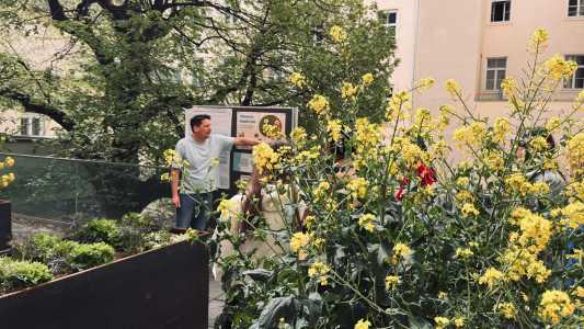 Hochbeet mit Menschen