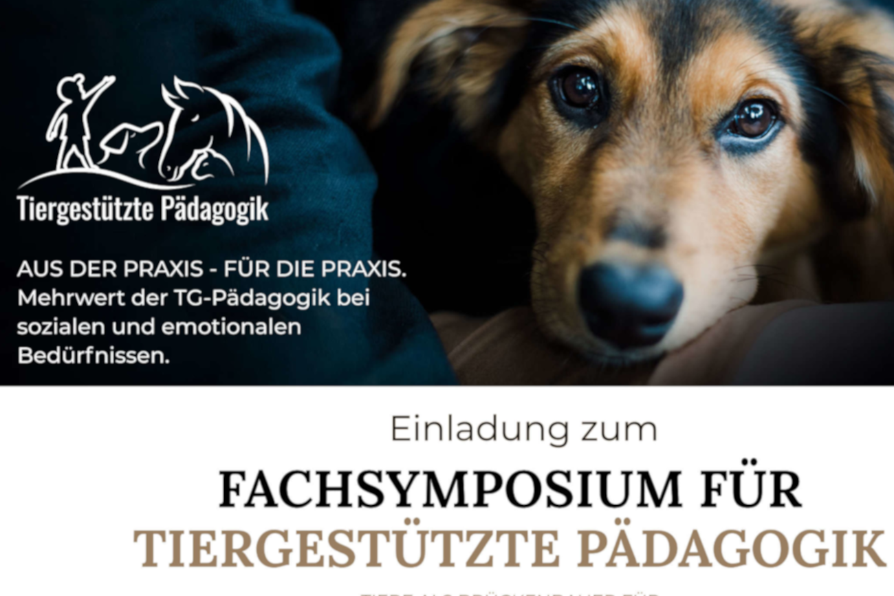Logo mit Hundekopf