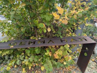 Vinzidorf-Friedhof
